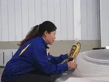 منطقة الفحص