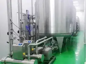 نظام التنظيف المكاني (CIP)
